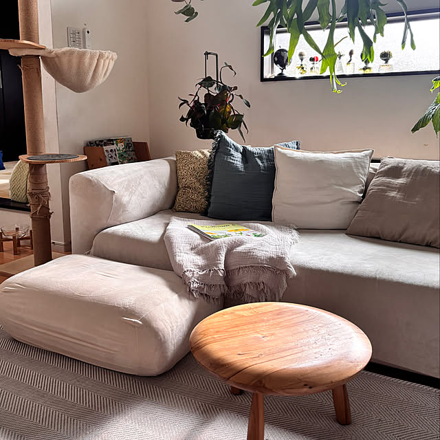 greycatsさんの実例写真