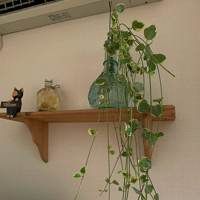 kumadapannさんの実例写真