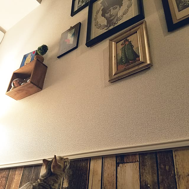 gottameさんの実例写真