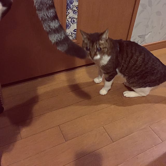 emmyyさんの実例写真