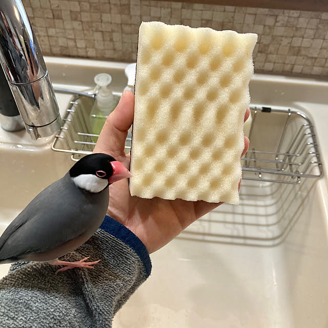 bambiさんの部屋