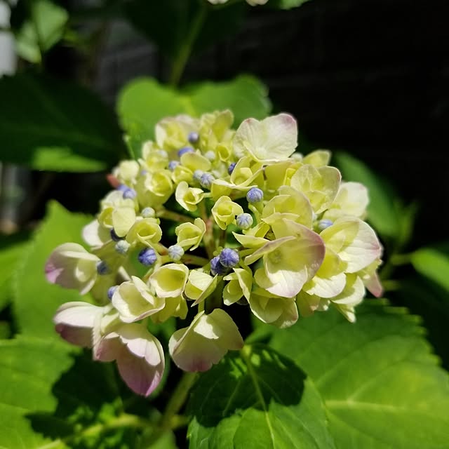 midoriさんの部屋