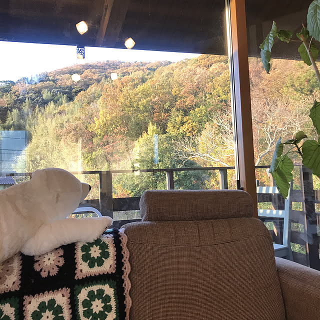 hachi1023さんの実例写真