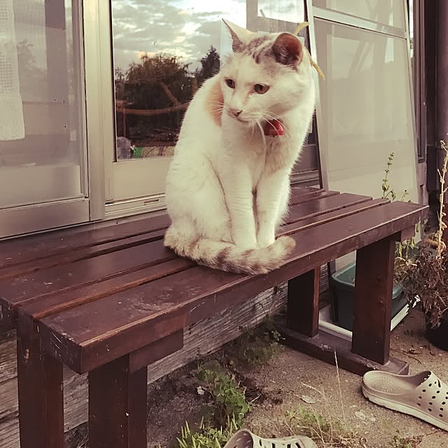 yamaniwaさんの実例写真