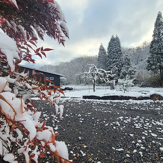 Rubiconさんの実例写真