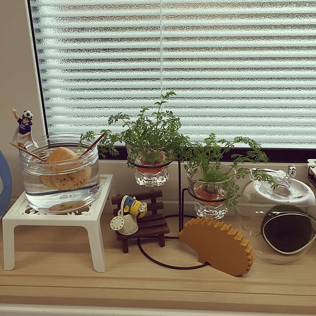 Ponkoさんの実例写真