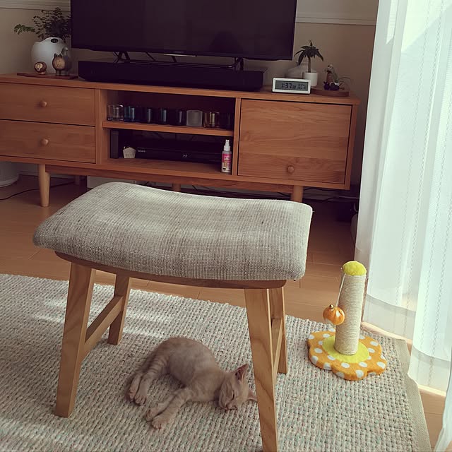 Chamさんの実例写真