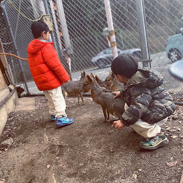 a_familyさんの部屋