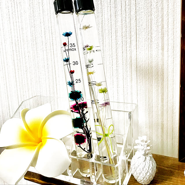 Caoluさんの実例写真