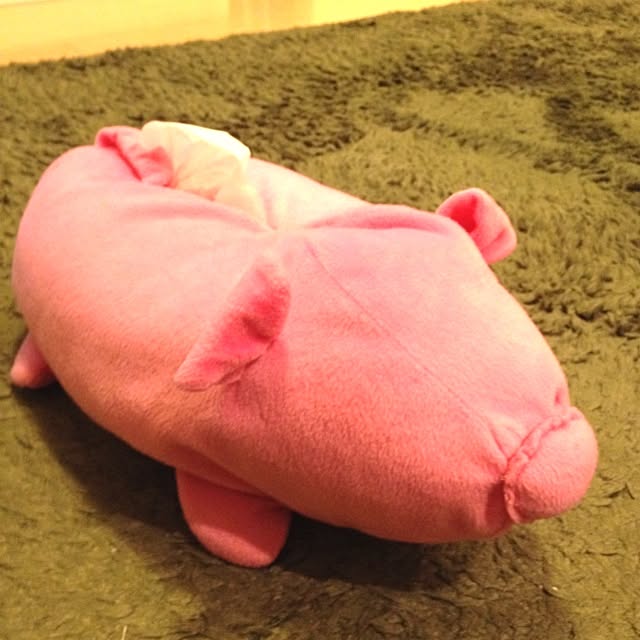 ISOさんの実例写真