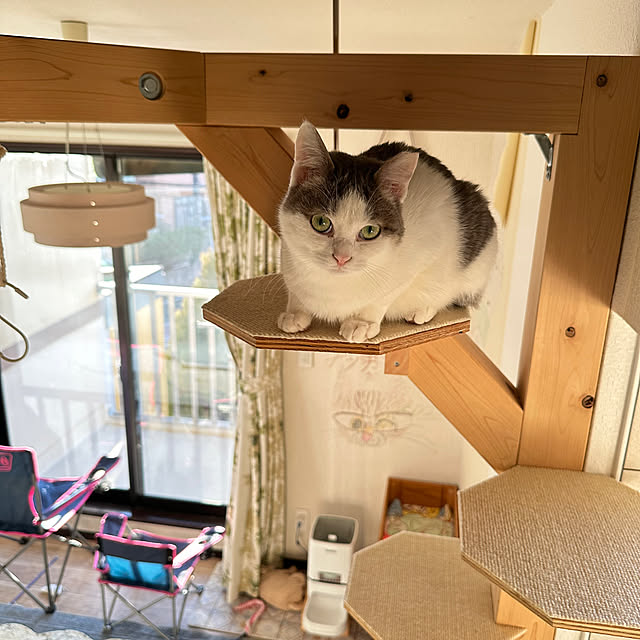 yurari.bonnさんの部屋