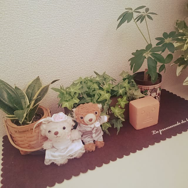 実例写真
