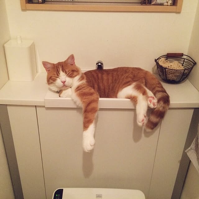 mi123さんの実例写真