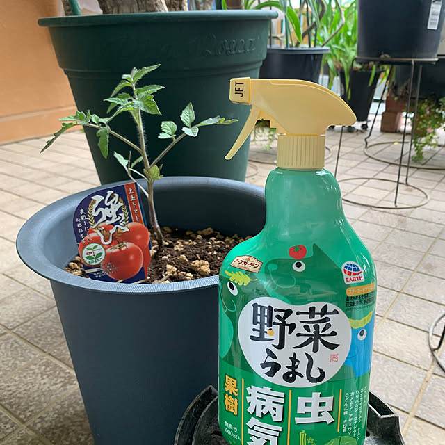 Aqettyさんの実例写真