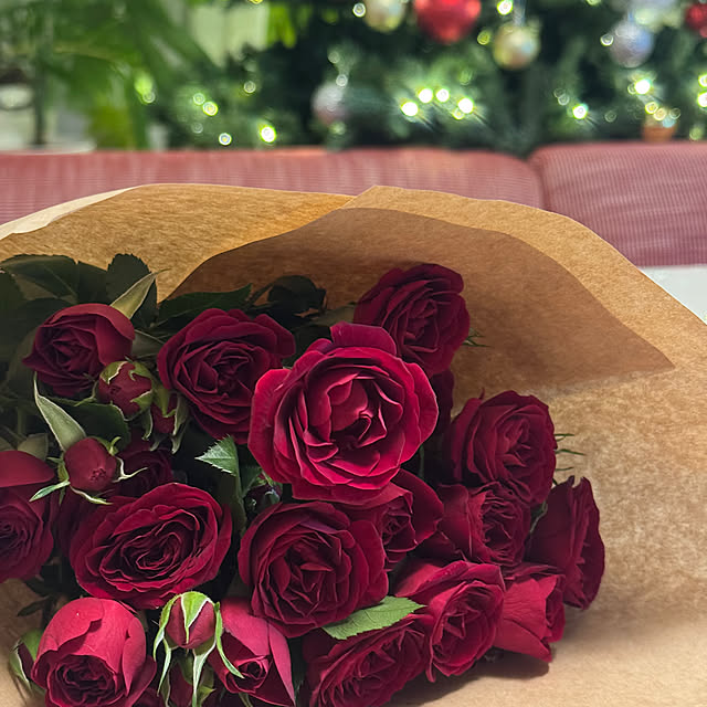 Emafuさんの実例写真