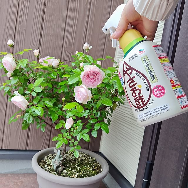 mutsuさんの部屋