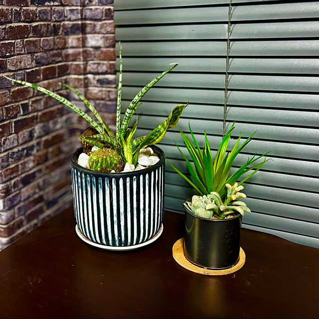 tututu0204さんの部屋