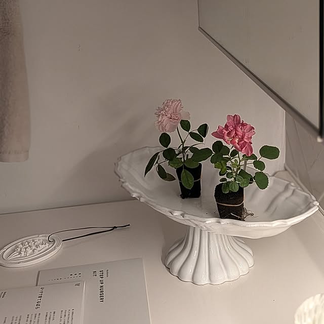 nolleyさんの部屋