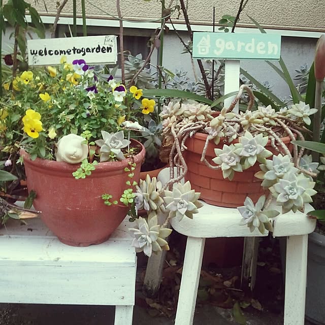 kenkenさんの実例写真