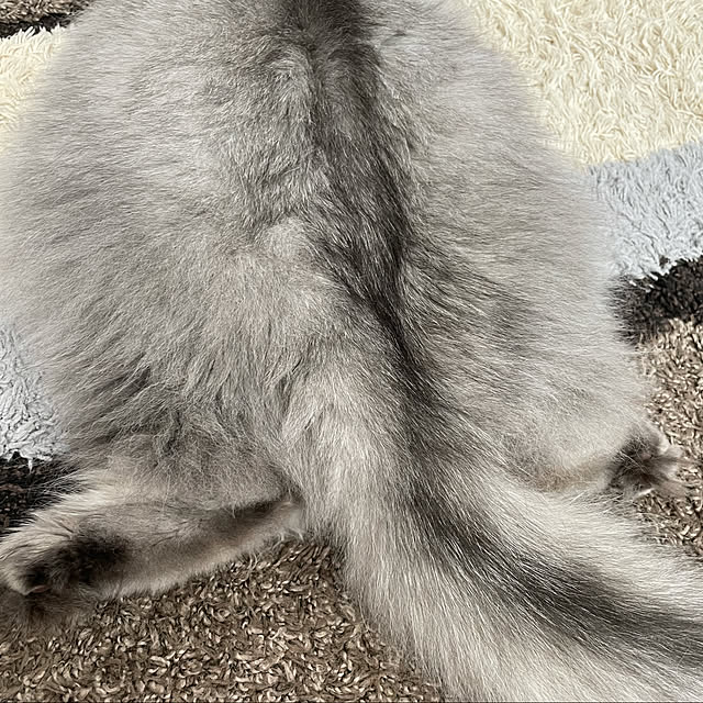 mahimarikoさんの実例写真