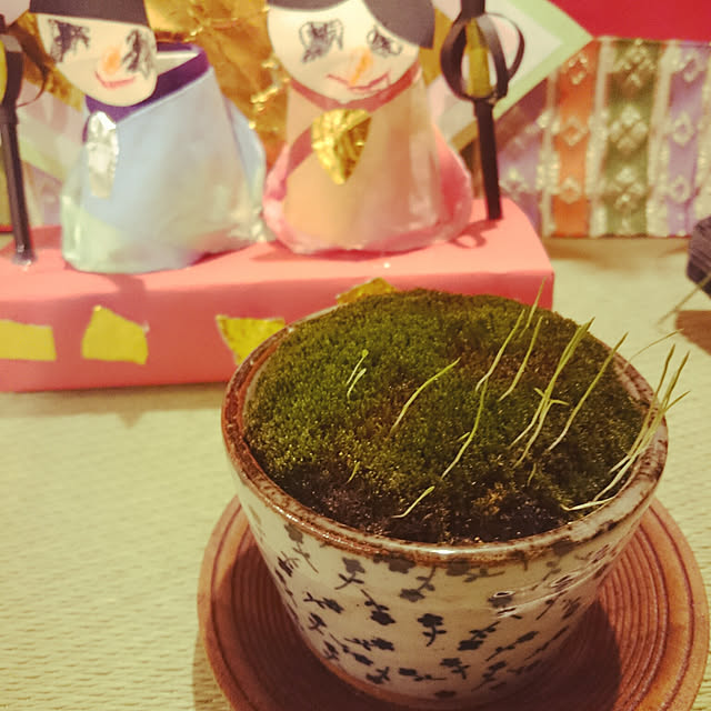 longneiさんの実例写真