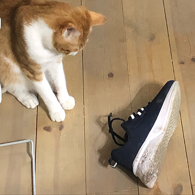 Emiさんの実例写真
