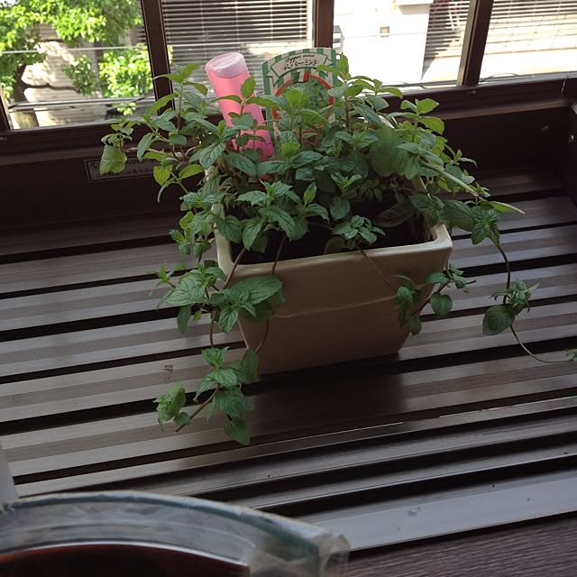 CafeGrottoさんの実例写真