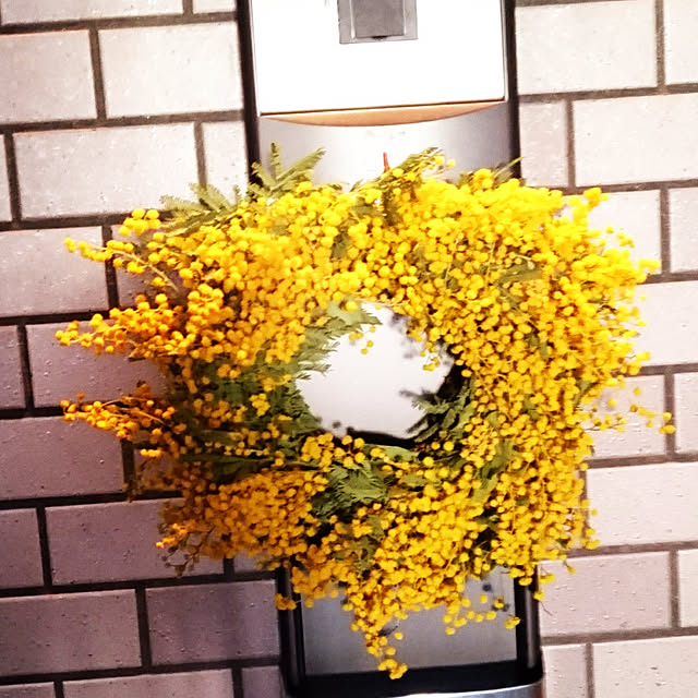 showazuremoonさんの実例写真