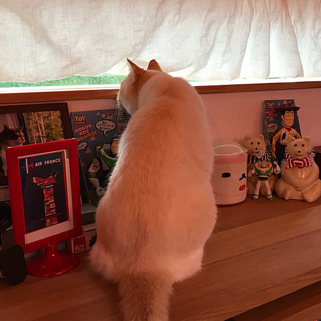 sakurasakuさんの実例写真