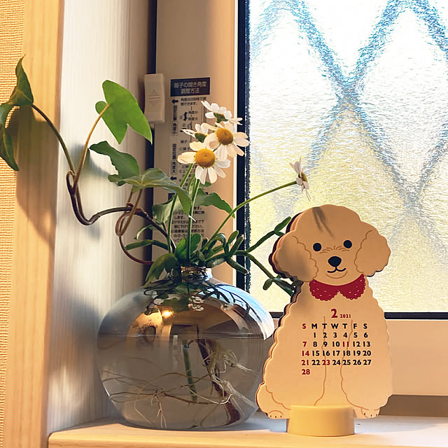 mikkumikuさんの実例写真