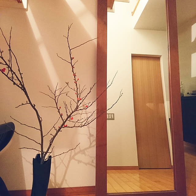 yosihtoさんの実例写真