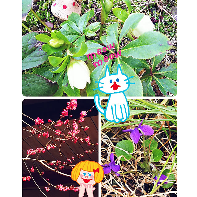 cherrycherryさんの実例写真
