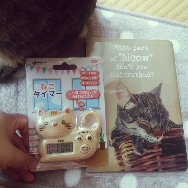 kittenblueさんの実例写真