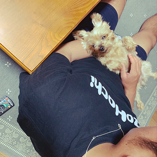 Masamiさんの実例写真