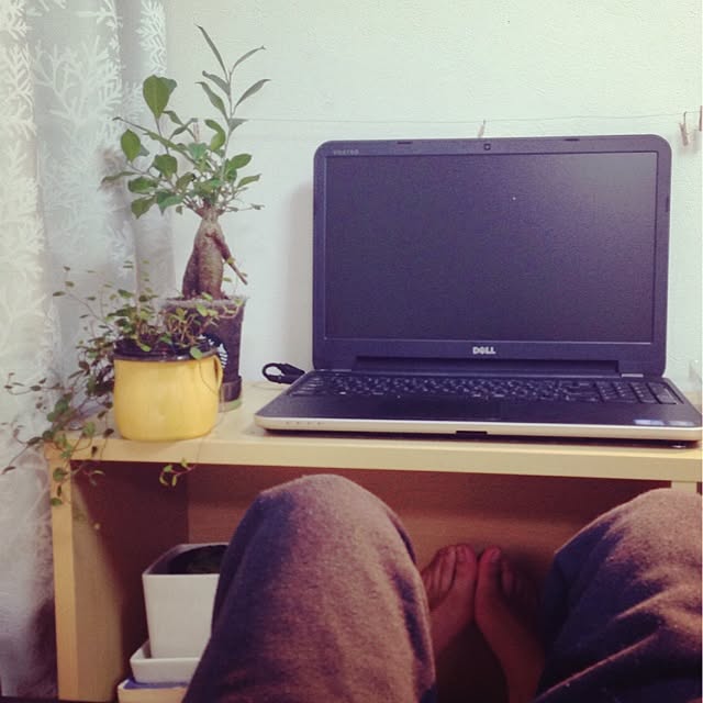 shiroさんの実例写真