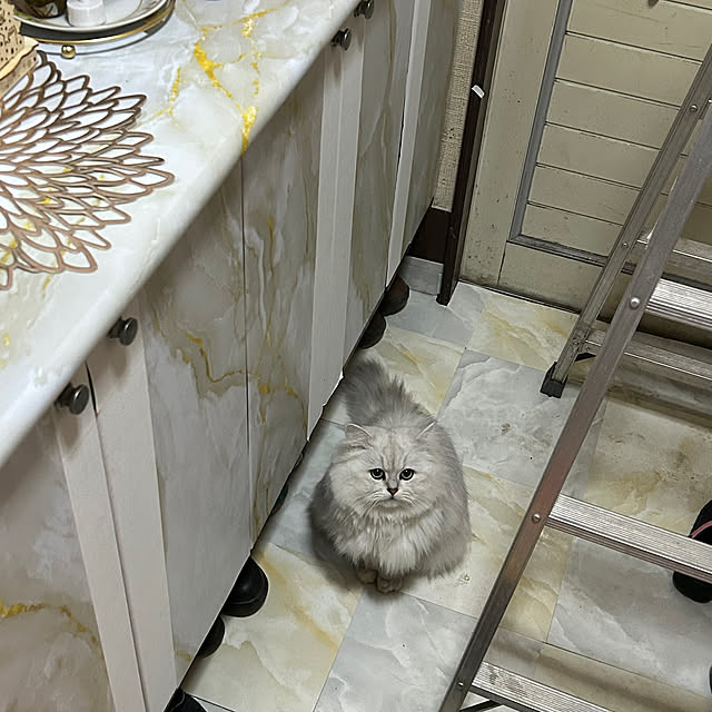 ikunyanさんの部屋