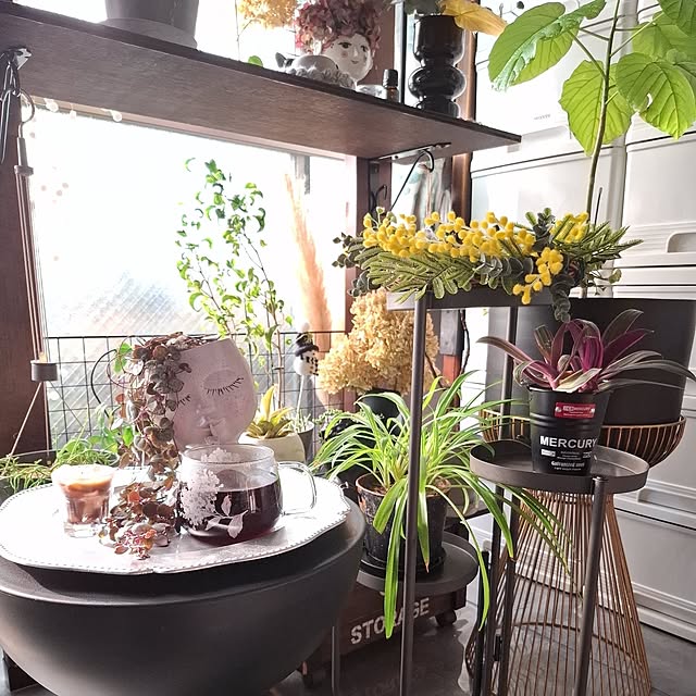 noaさんの実例写真