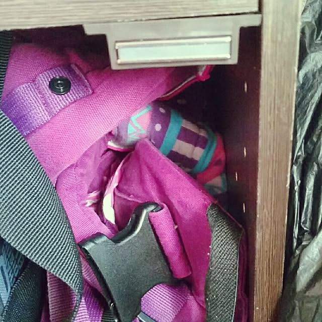 osaetsuhanaさんの実例写真