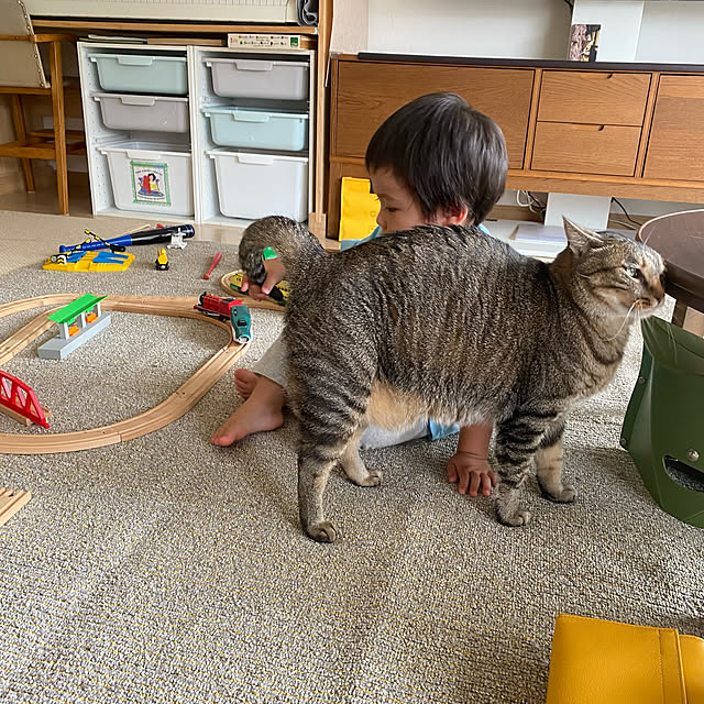 mikomaruさんの部屋