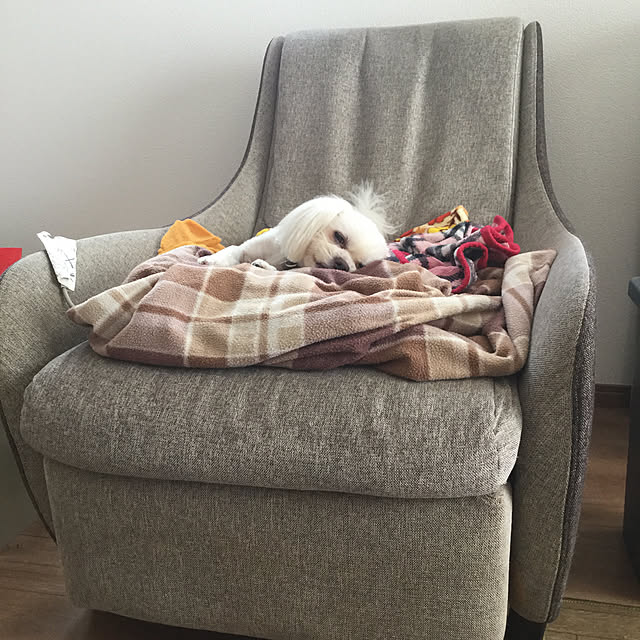 kakkoさんの実例写真
