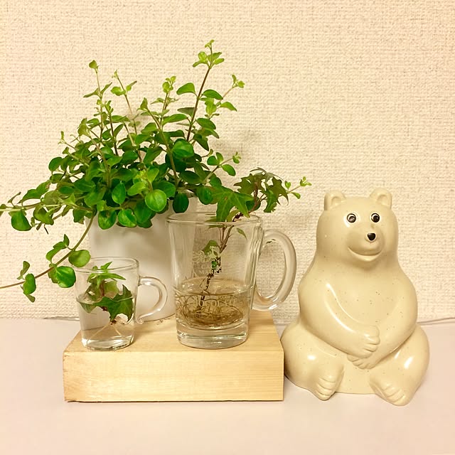 tanakanozomiさんの実例写真