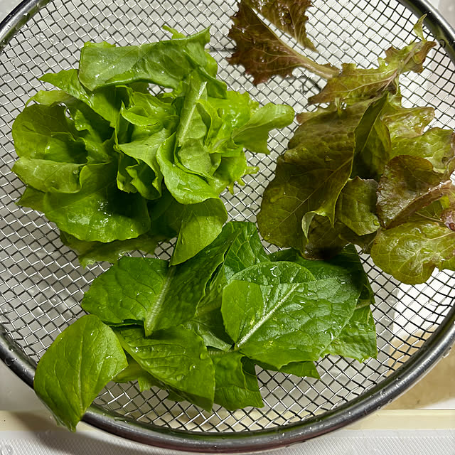 syutmmさんの部屋
