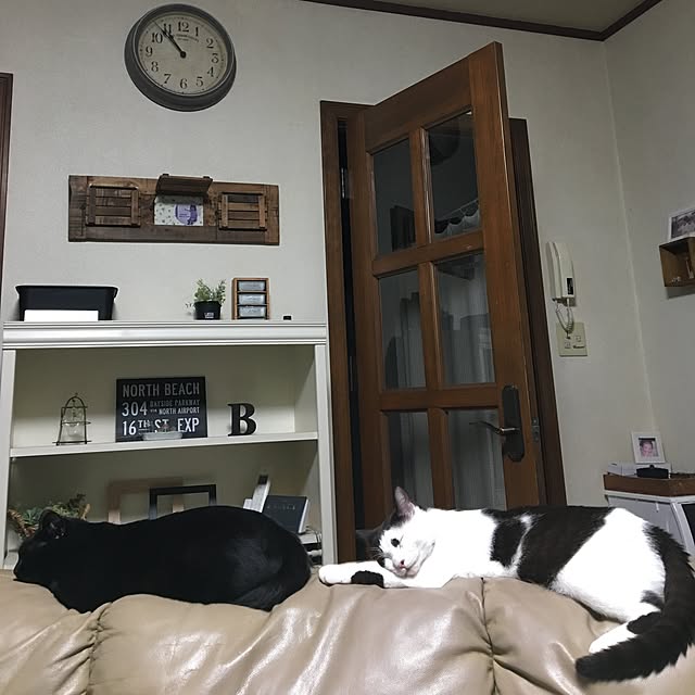 mahi1101さんの実例写真