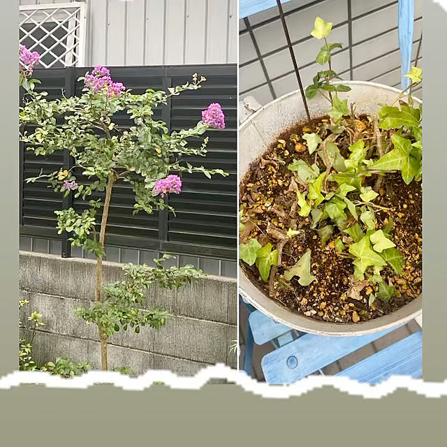 YuuKoさんの実例写真