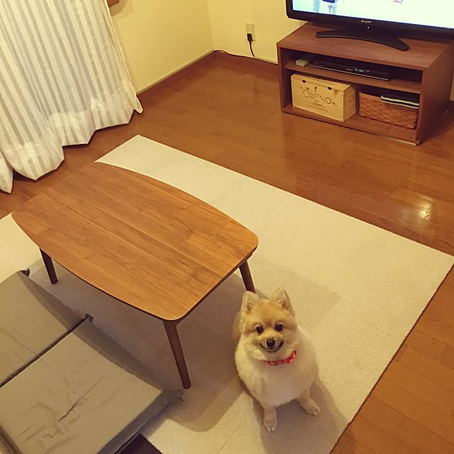 nakaharasuzukaさんの実例写真