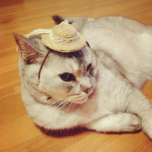 tamacharouさんの実例写真