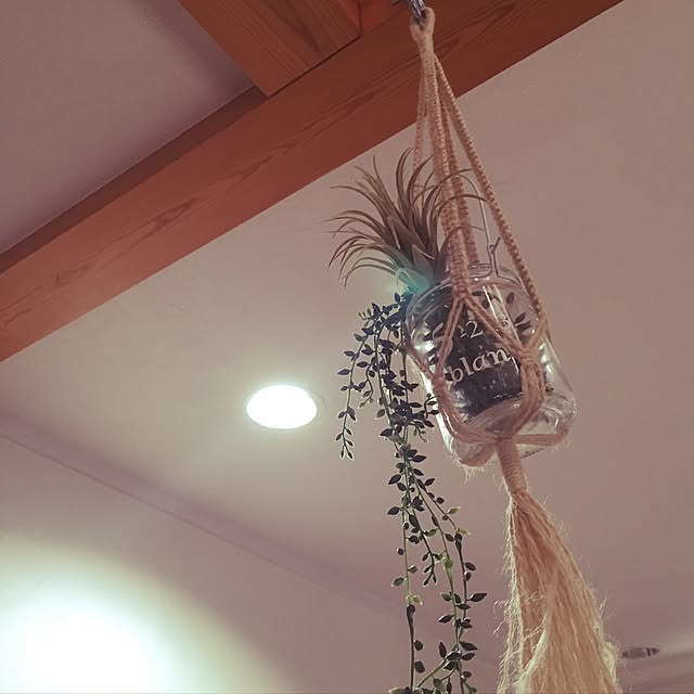 nicoさんの実例写真