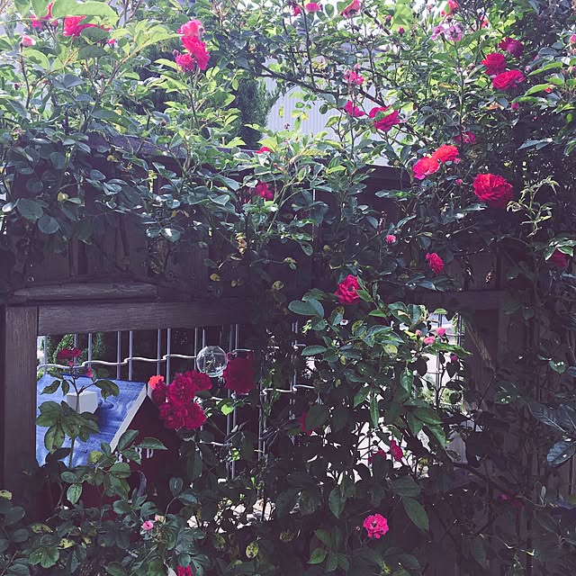 NAOMIさんの実例写真
