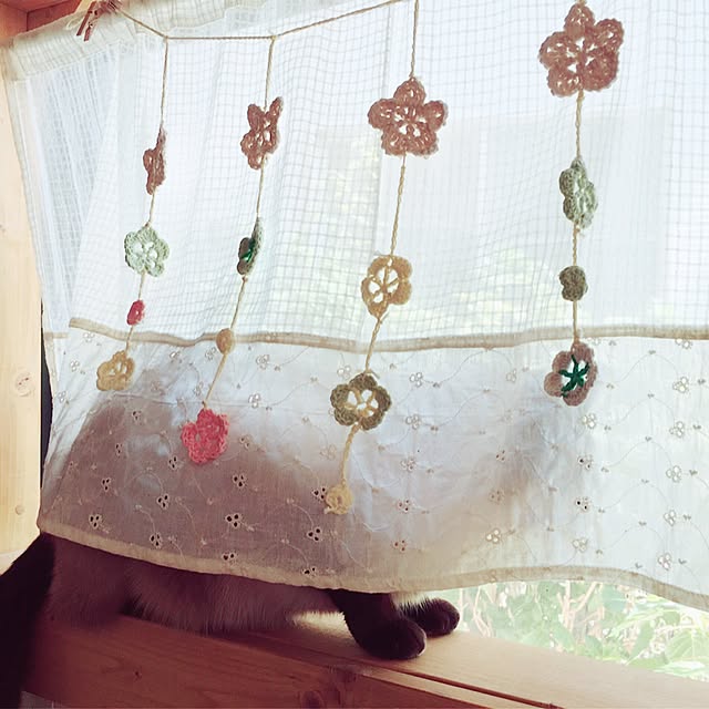 mintcatさんの実例写真