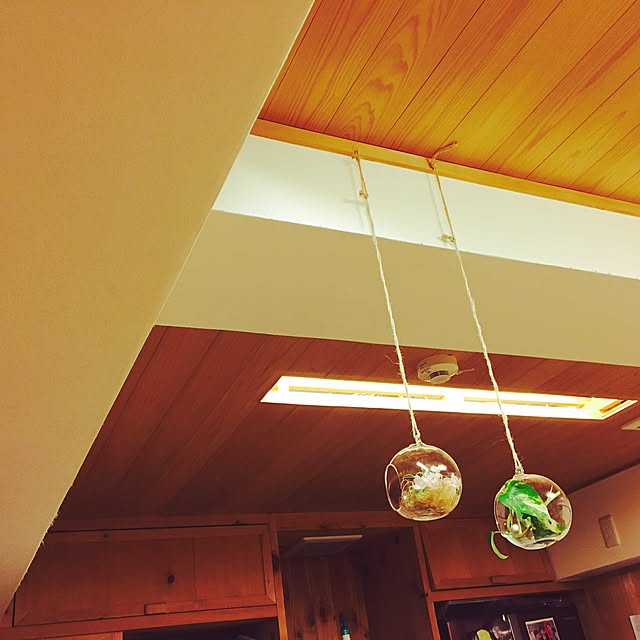 kinoieさんの実例写真